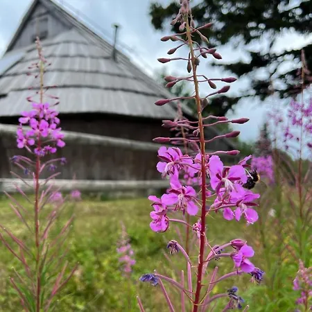 Chalet Korosica Velika Planina Stahovica Exterior photo
