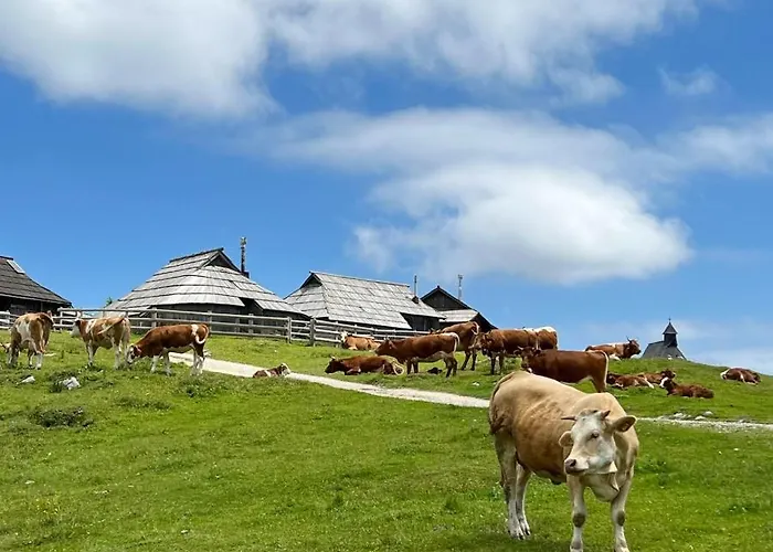 Chalet Korosica Velika Planina