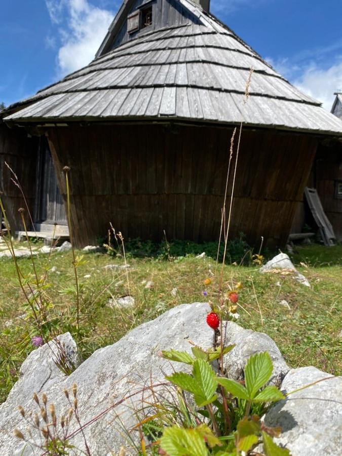 Korosica Velika Planina * Stahovica