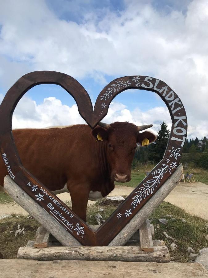 Korosica Velika Planina *