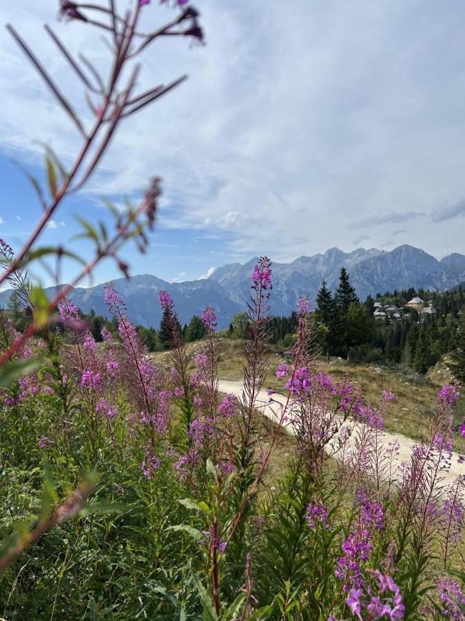 Korosica Velika Planina Stahovica