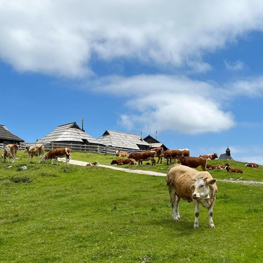 Korosica Velika Planina Stahovica